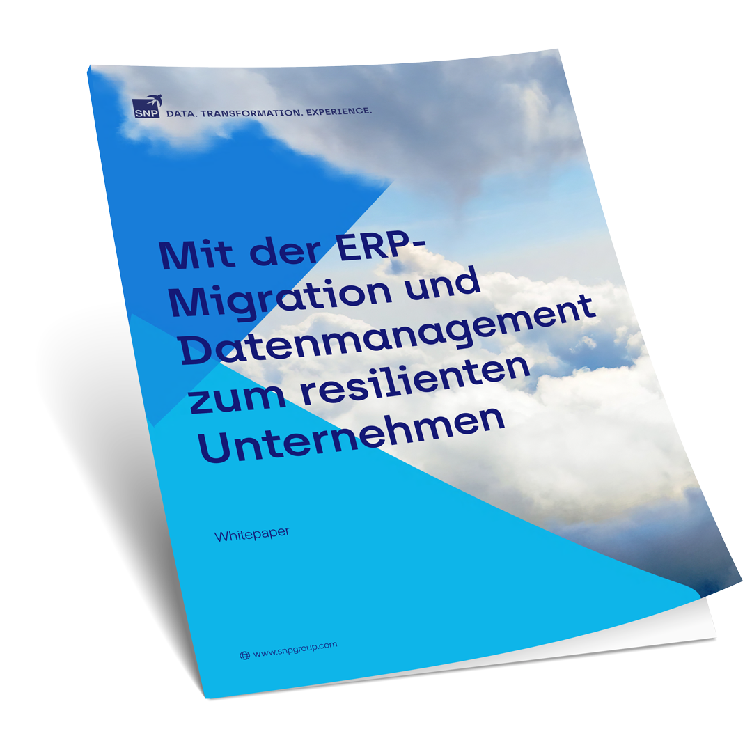 Rapid-ERP-migration-white-paper-DE-Mockup-1080x1080.png
