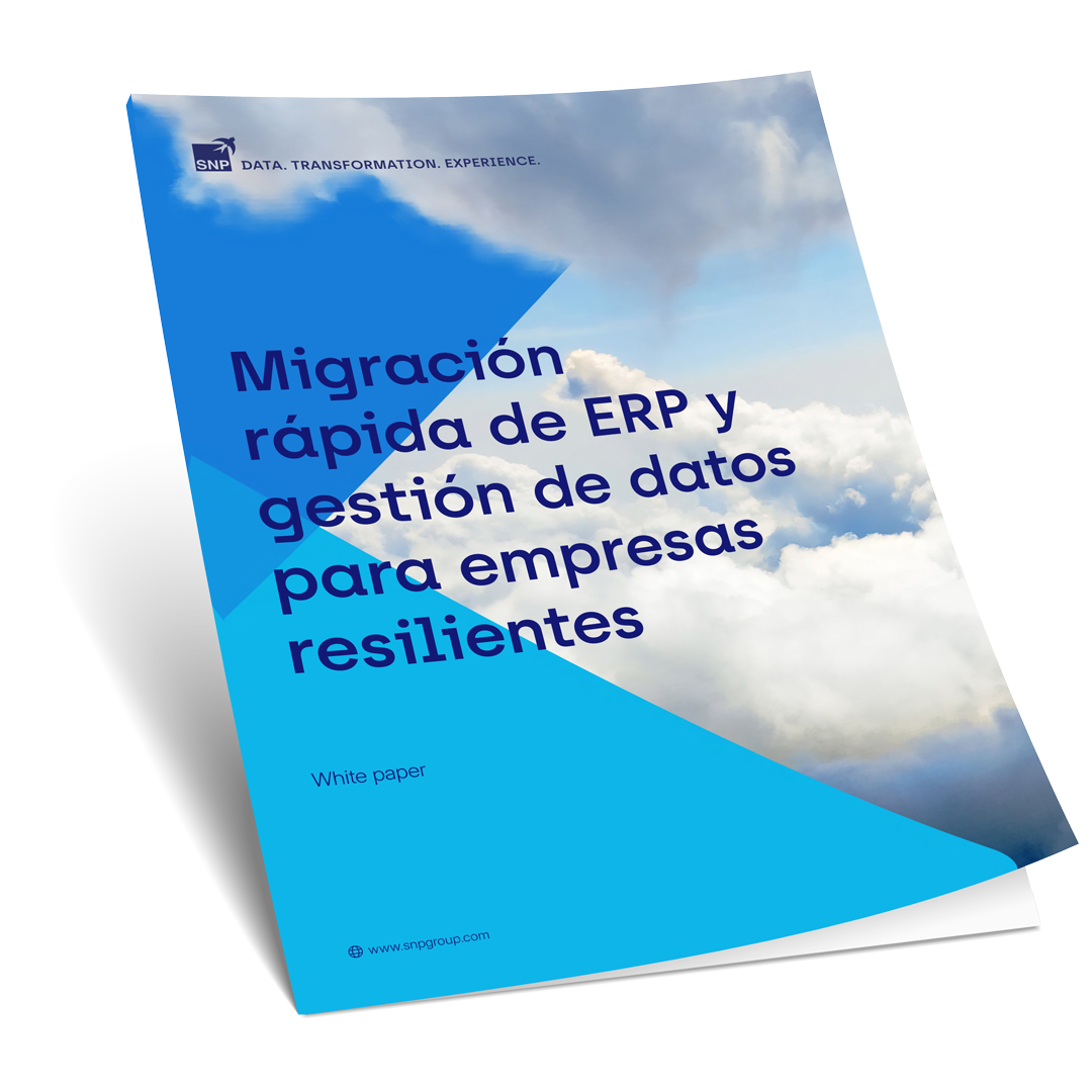 Rapid-ERP-migration-white-paper-ES-Mockup-1080x1080.png