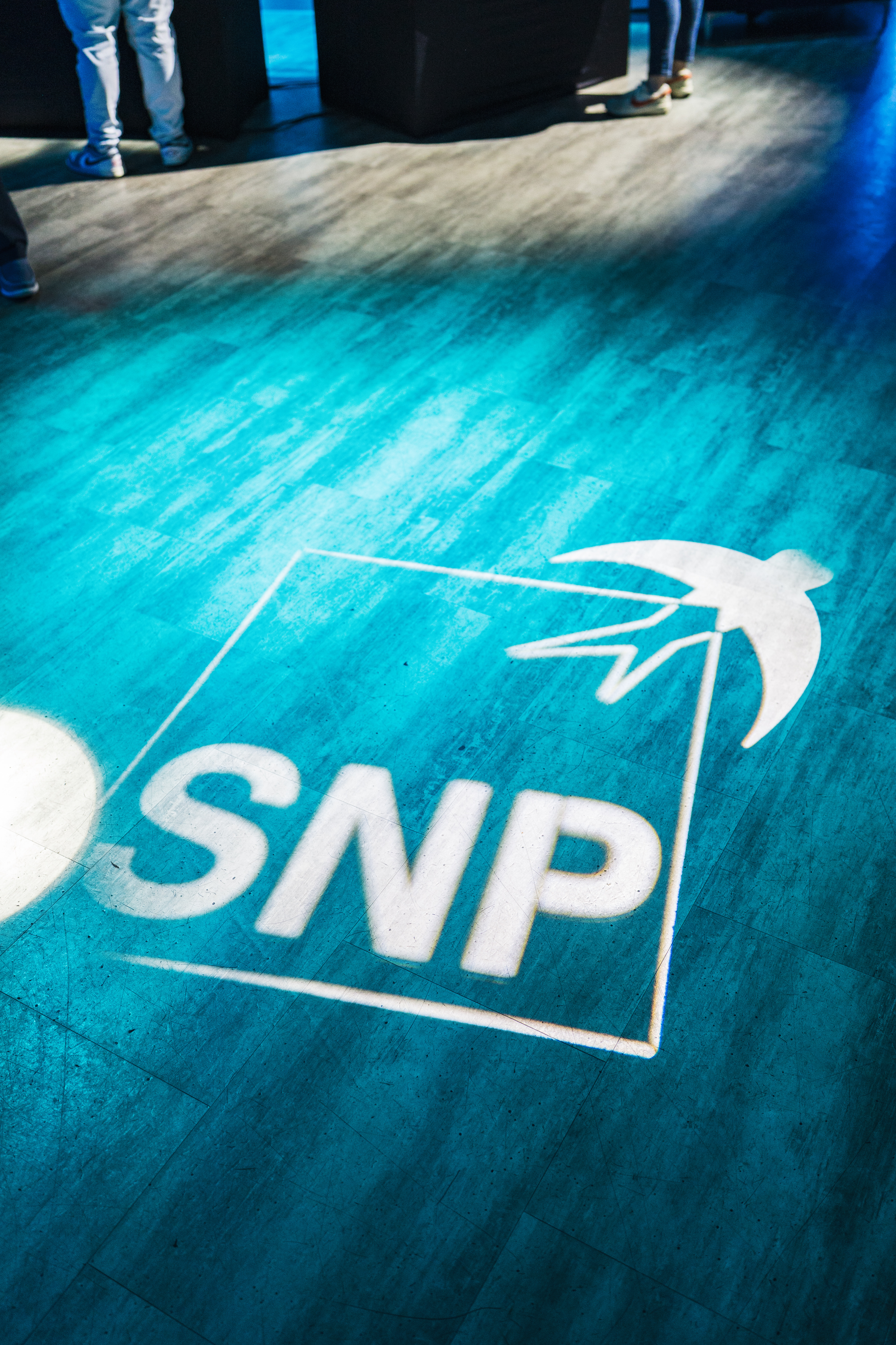 SNP projection